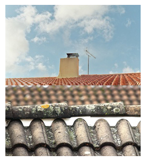 Photo d'illustration 3 sur 3