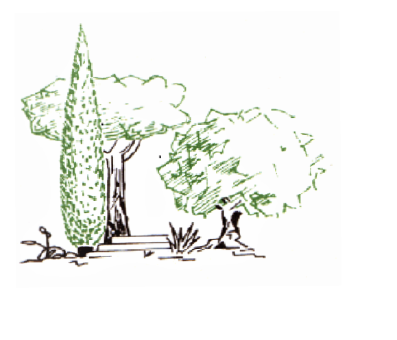 Photo d'illustration 2 sur 3