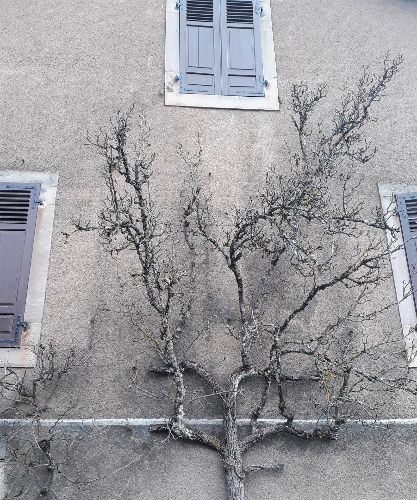 Photo d'illustration 2 sur 68