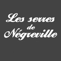 Photo d'illustration 1 sur 17