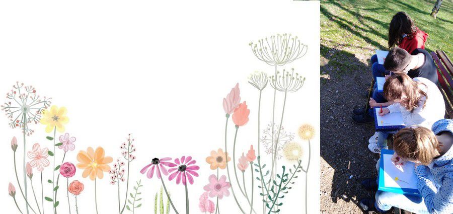 Photo d'illustration 4 sur 9