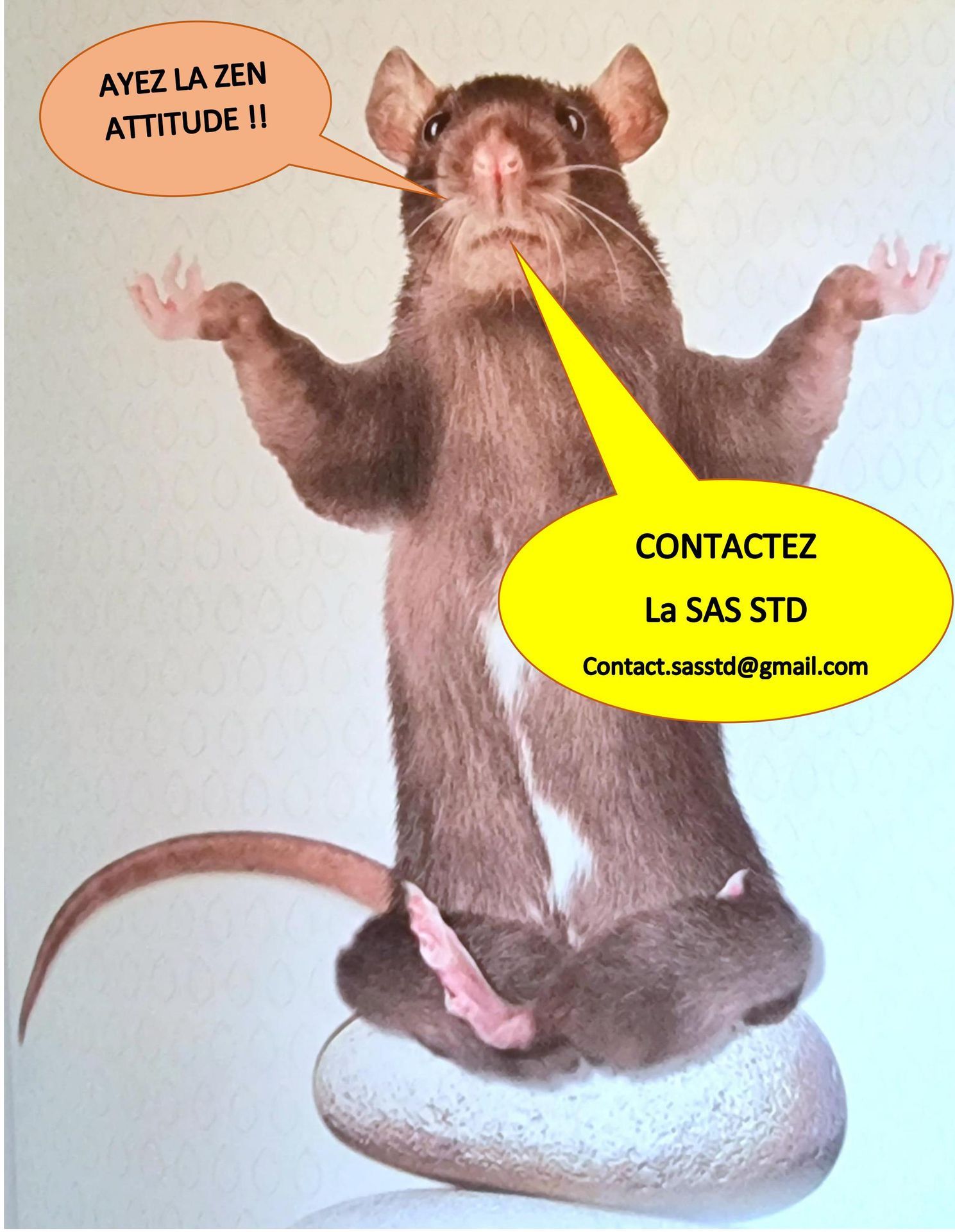 Photo d'illustration 3 sur 4
