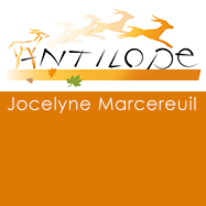 Photo d'illustration 3 sur 3