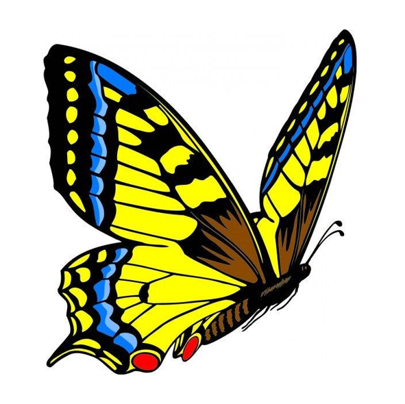 Photo d'illustration 3 sur 16