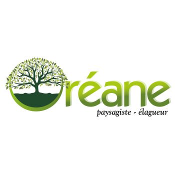 Photo d'illustration 1 sur 72