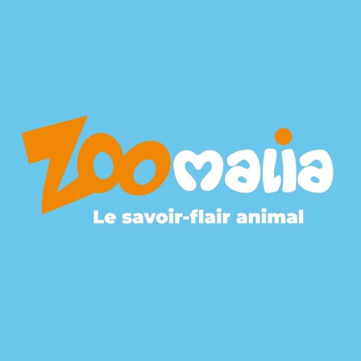 Photo d'illustration 1 sur 16