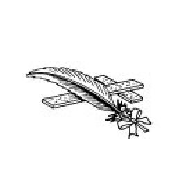 Photo d'illustration 3 sur 4