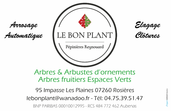 Photo d'illustration 1 sur 2