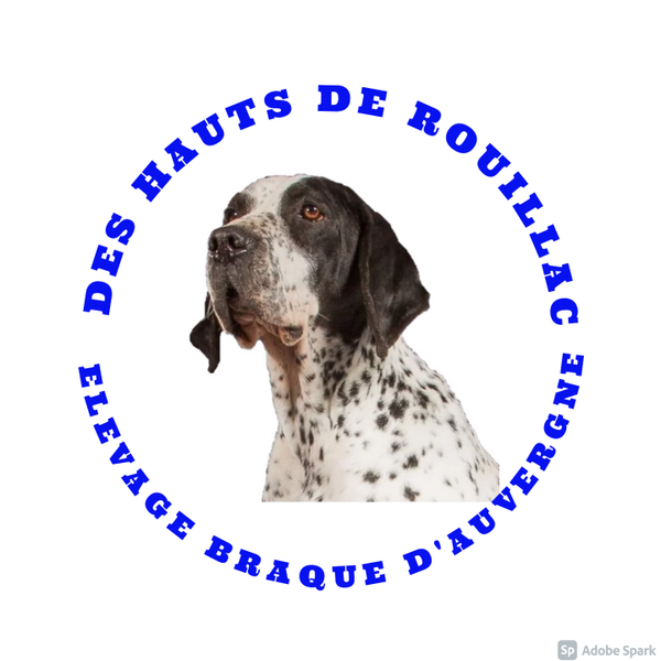 Photo d'illustration 1 sur 9