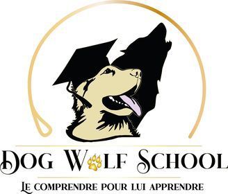 Photo d'illustration 1 sur 10