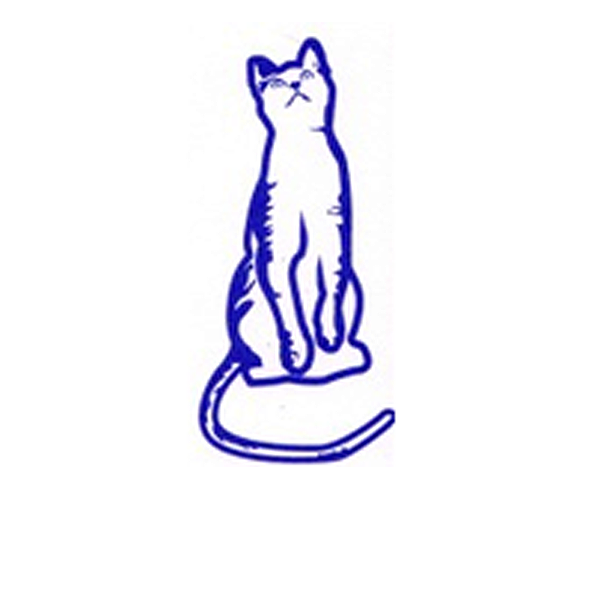 Photo d'illustration 1 sur 15