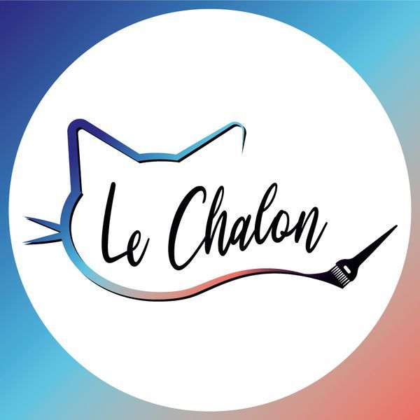 Photo d'illustration 1 sur 12