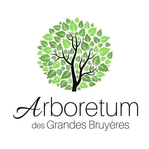 Photo d'illustration 1 sur 7