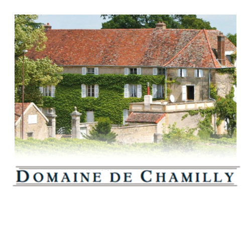 Photo d'illustration 1 sur 7