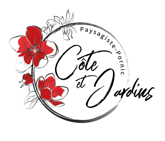 Photo d'illustration 1 sur 25