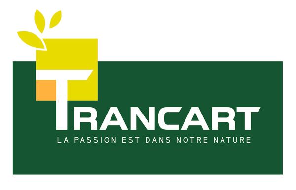 Photo d'illustration 1 sur 7
