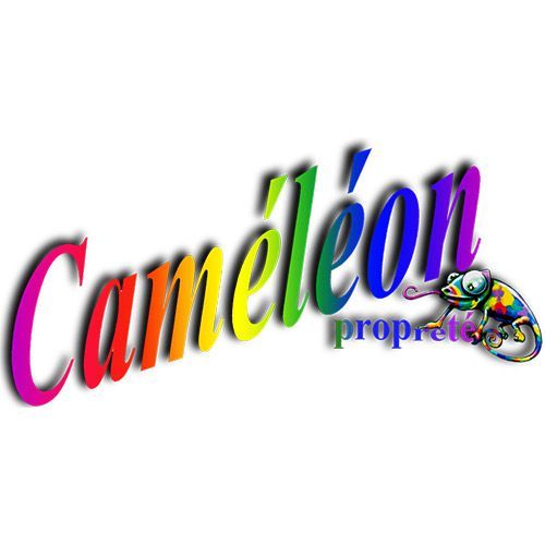 Photo d'illustration 1 sur 13