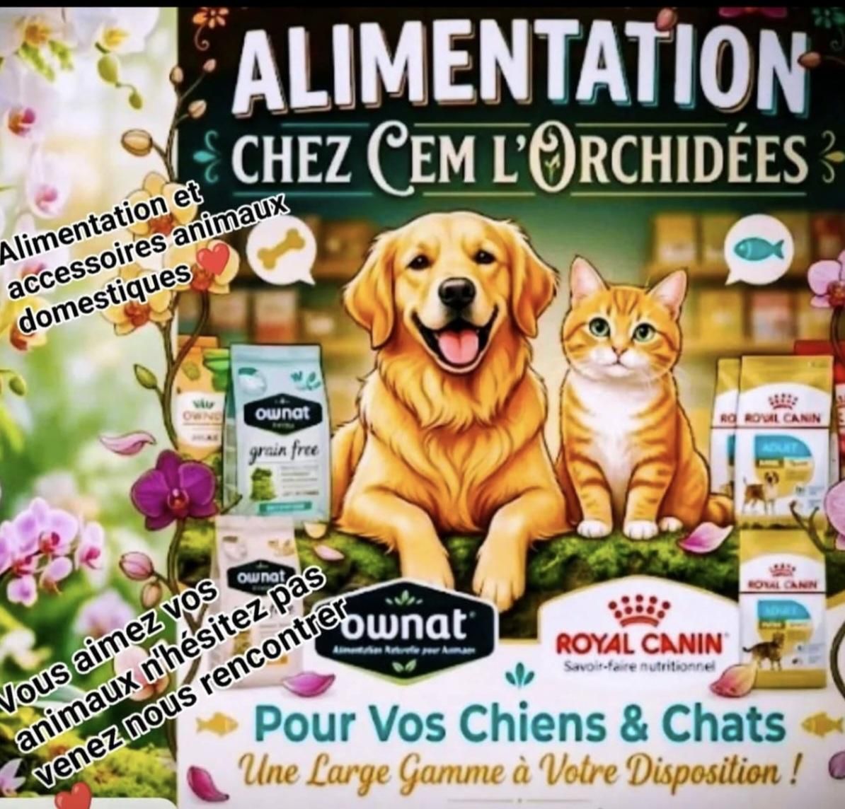 Photo d'illustration 2 sur 47