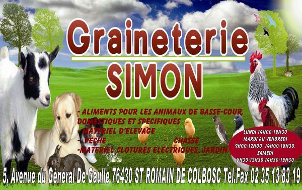 Photo d'illustration 1 sur 1