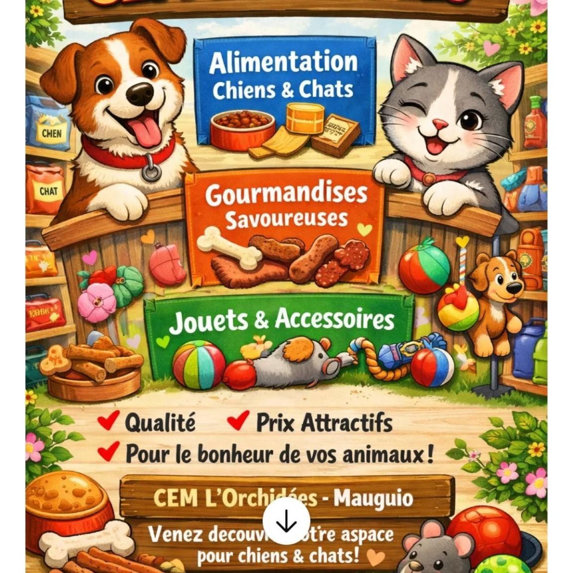 Photo d'illustration 1 sur 47