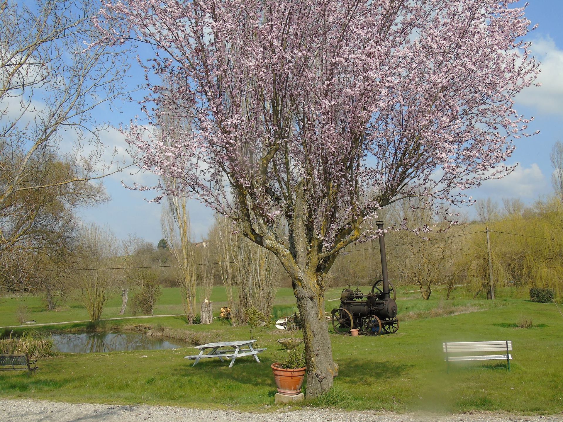 Photo d'illustration 4 sur 4