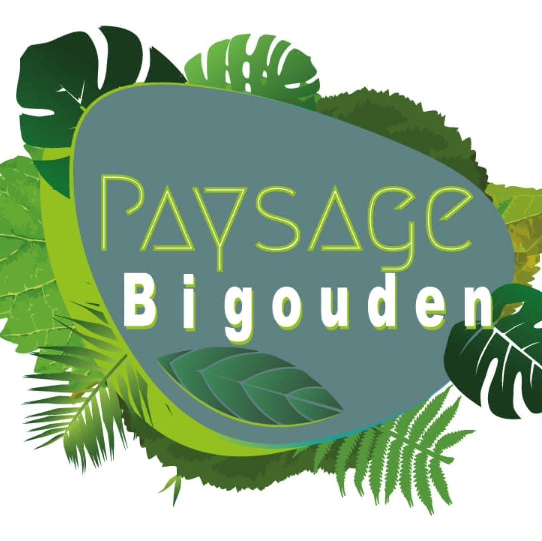Photo d'illustration 1 sur 1