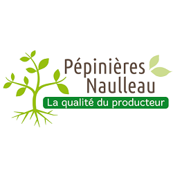 Photo d'illustration 2 sur 8
