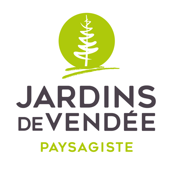 Photo d'illustration 1 sur 12