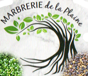 Photo d'illustration 1 sur 3