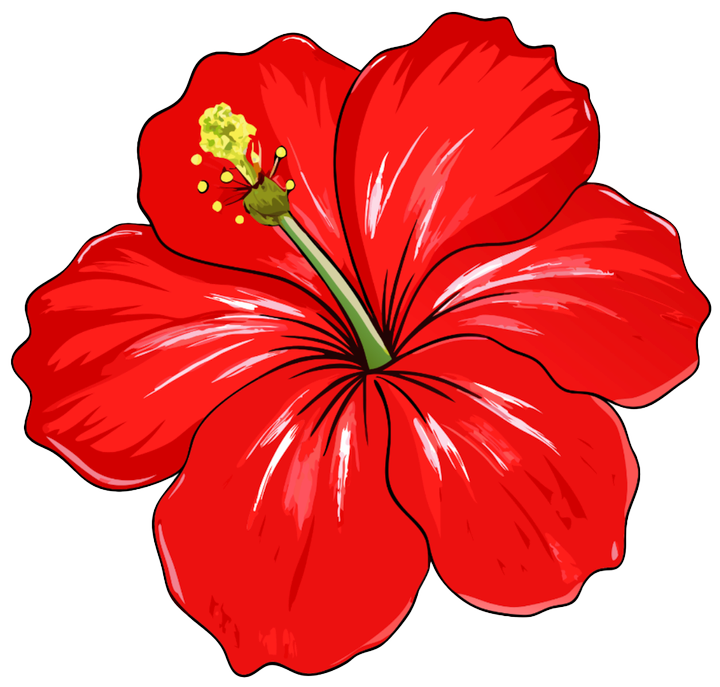 Photo d'illustration 1 sur 9