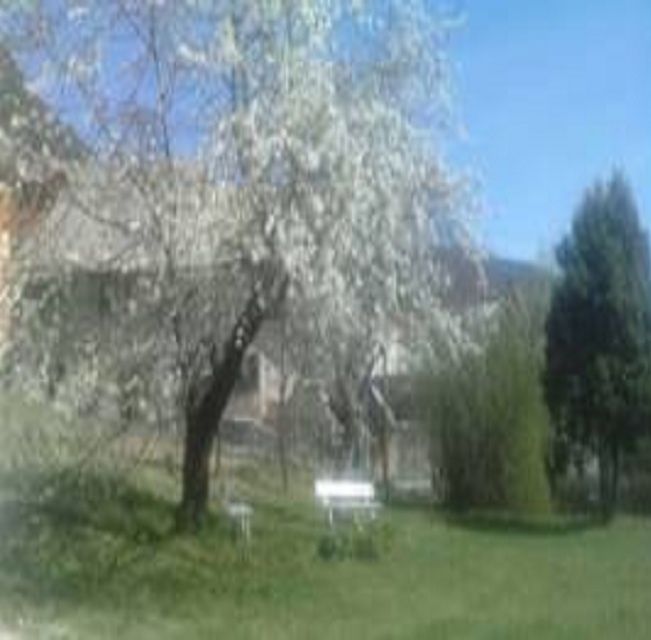 Photo d'illustration 2 sur 4