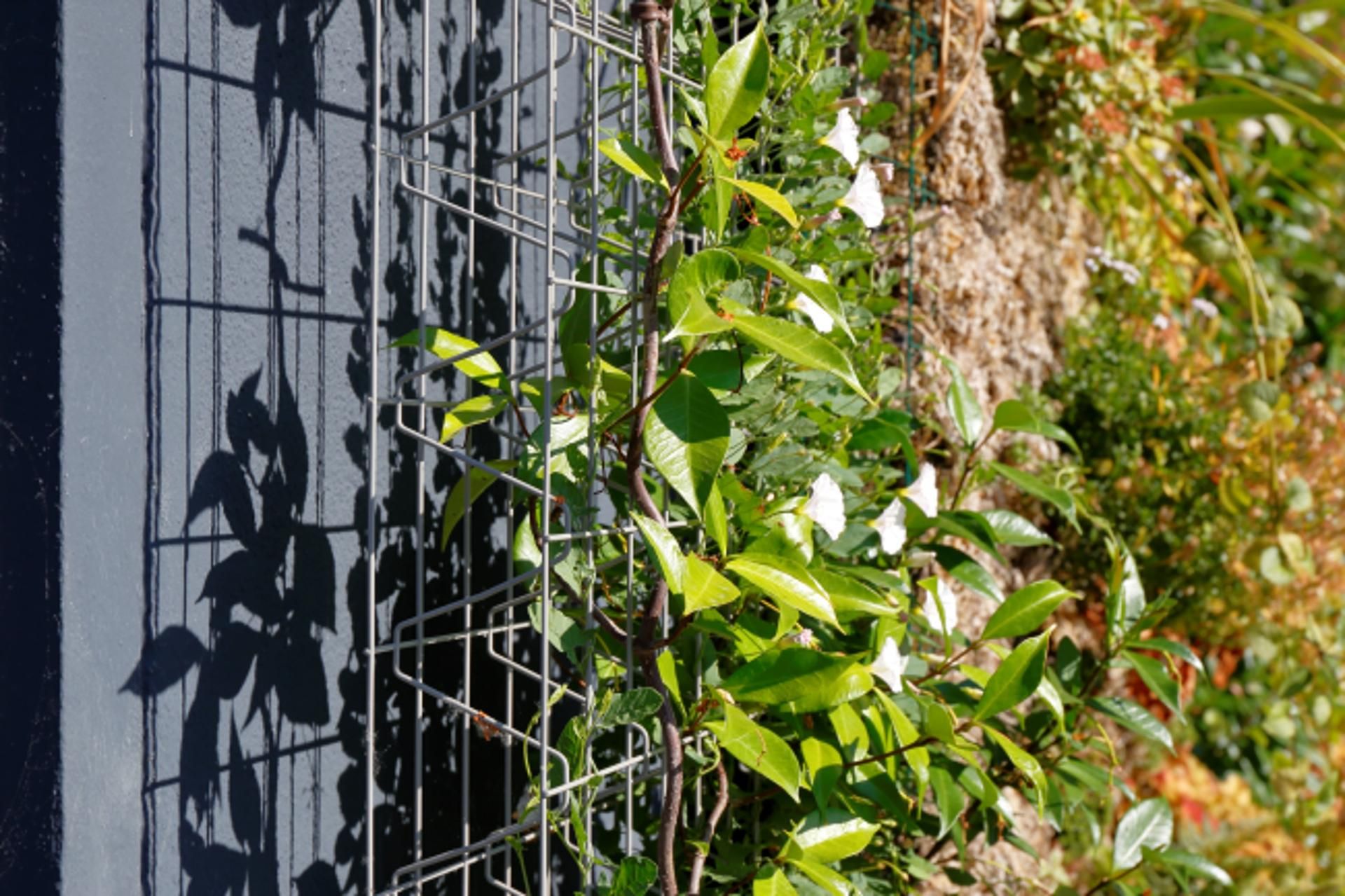 Photo d'illustration 2 sur 8