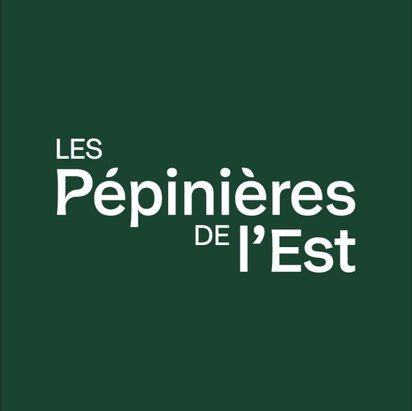Photo d'illustration 1 sur 6