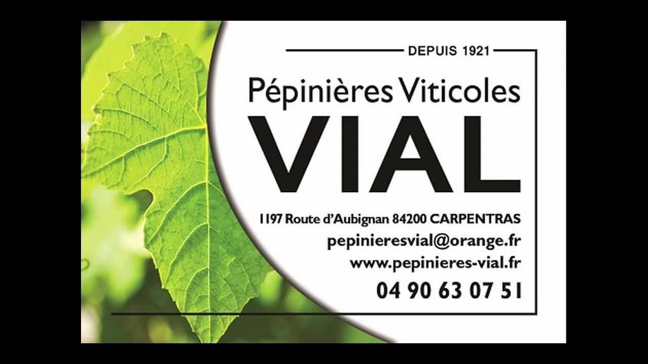 Photo d'illustration 1 sur 7