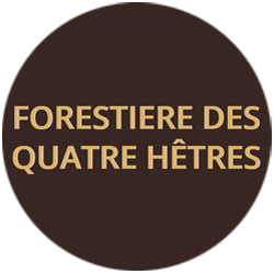 Photo d'illustration 1 sur 8