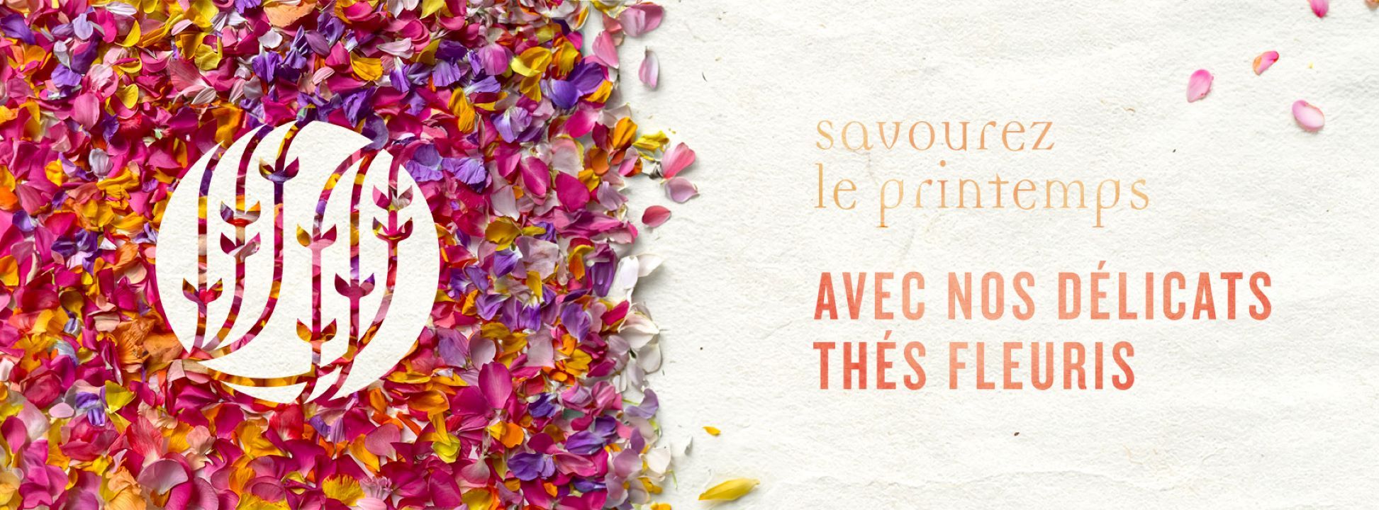 Photo d'illustration 3 sur 3