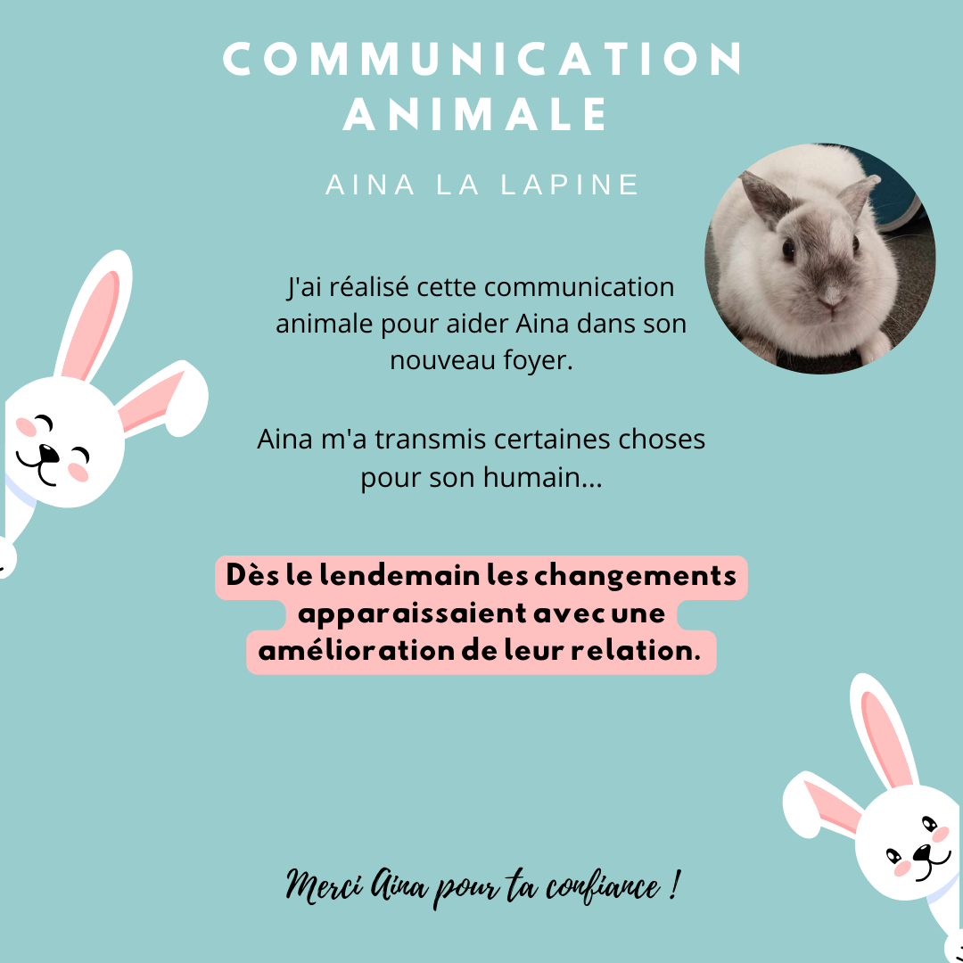 Photo d'illustration 3 sur 22