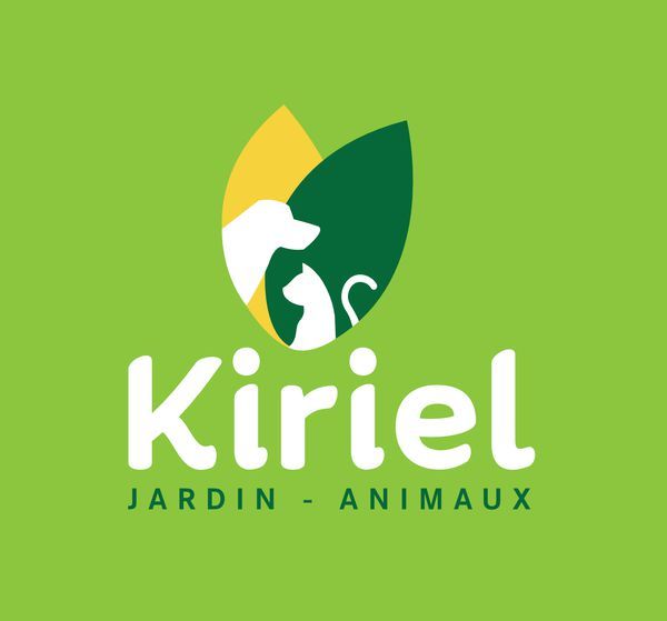 Photo d'illustration 1 sur 8