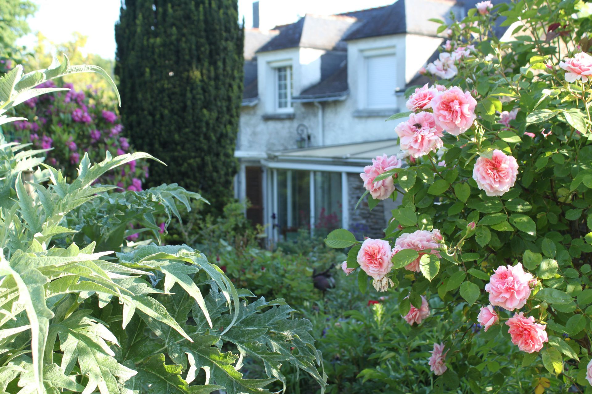 Photo d'illustration 4 sur 11