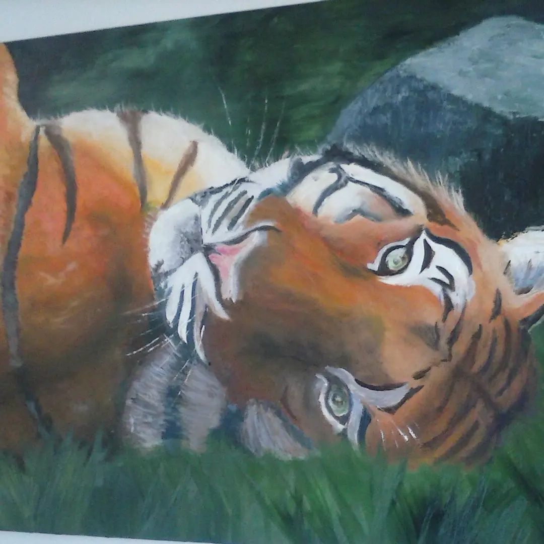 Photo d'illustration 3 sur 4