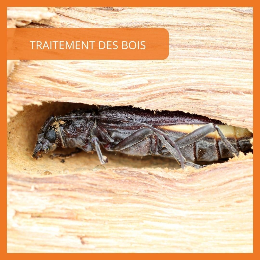 Photo d'illustration 3 sur 10