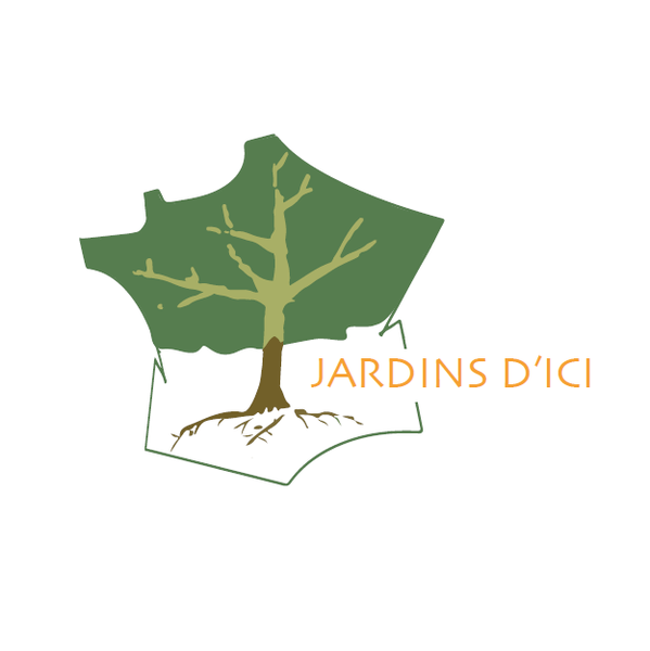Photo d'illustration 1 sur 8