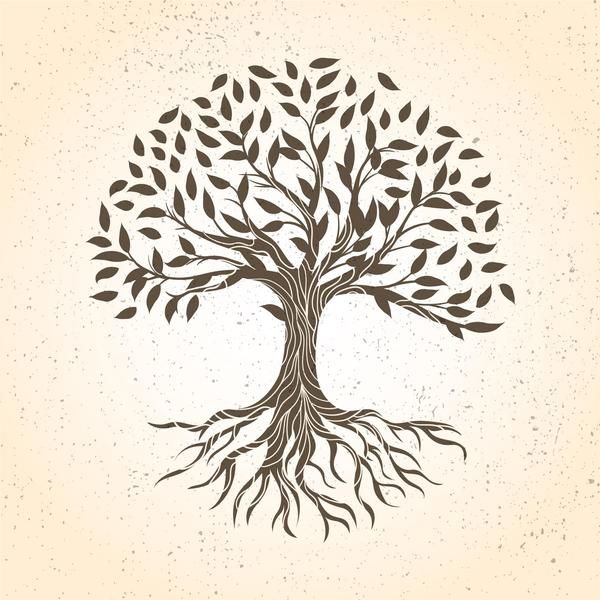 Photo d'illustration 1 sur 1