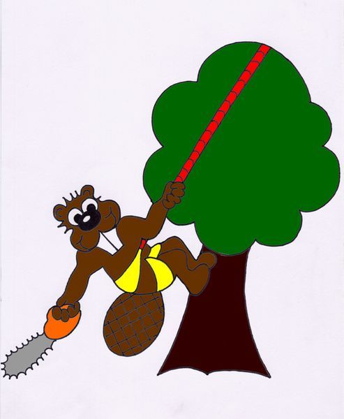 Photo d'illustration 1 sur 14