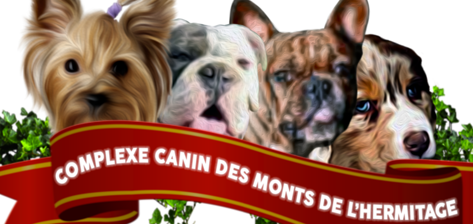 Photo d'illustration 1 sur 3