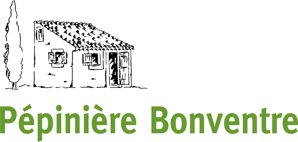 Photo d'illustration 1 sur 1