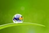 Photo d'illustration 3 sur 5