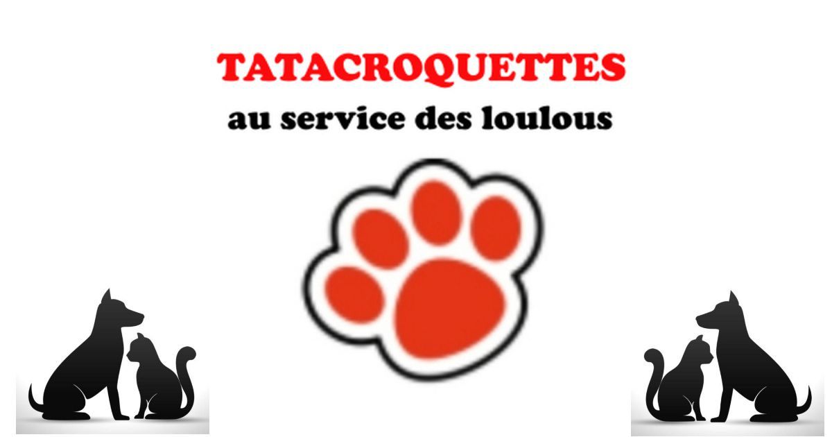 Photo d'illustration 1 sur 7