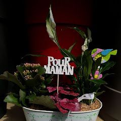Photo d'illustration 4 sur 26
