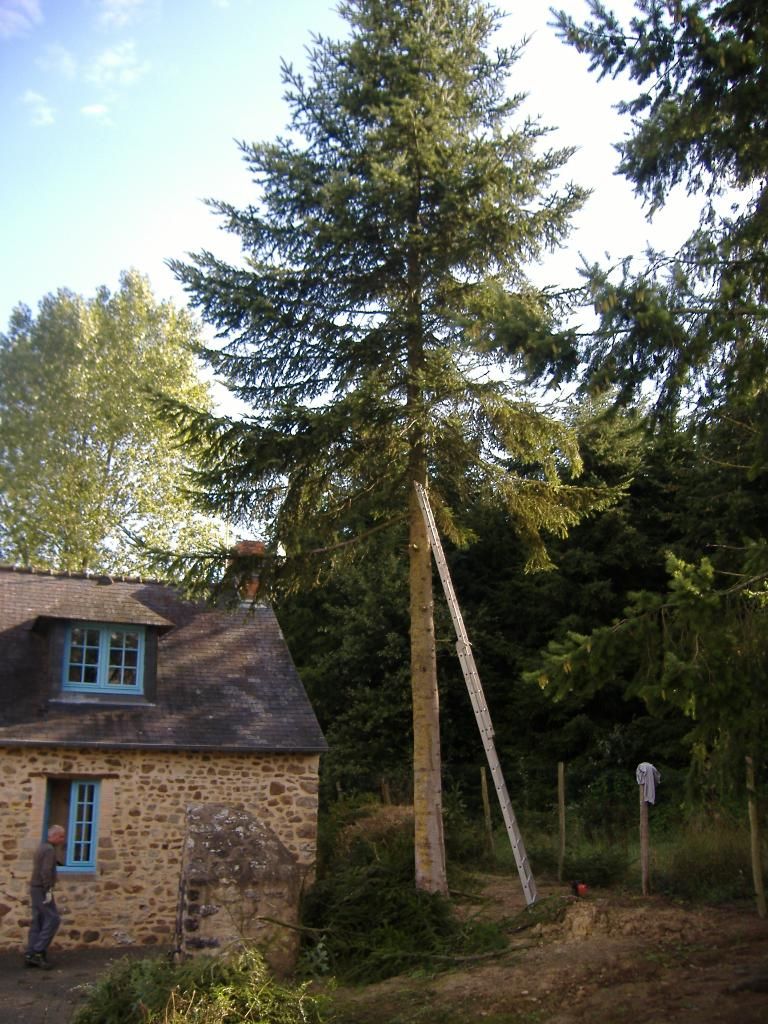 Photo d'illustration 2 sur 4